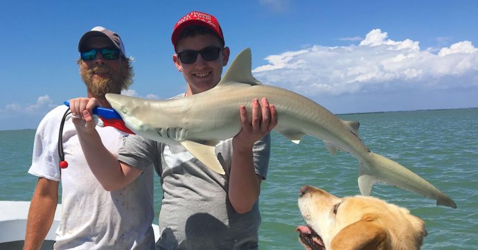 Blacknose Shark Fsihing, Catch & Release, Sanibel Fishing & Captiva Fishing, Sanibel Island, Thursday, May 25, 2017.