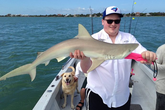 Blacknose Shark, Sanibel Fishing & Captiva Fishing, Sanibel Island,Tuesday, May 23, 2017.