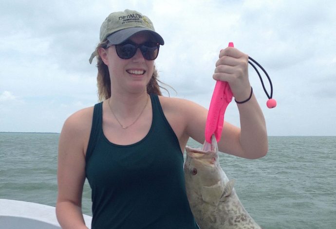 Grouper, Memorial Day Weekend, Catch & Release, Sanibel Fishing & Captiva Fishing, Sanibel Island, Monday, May 29, 2017.