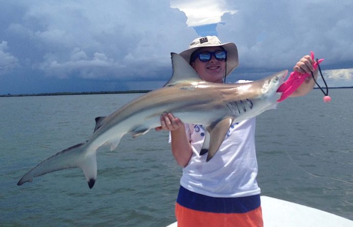 Blacktip Shark, Sanibel Fishing & Captiva Fishing, Sanibel Island, Monday, June 26, 2017.