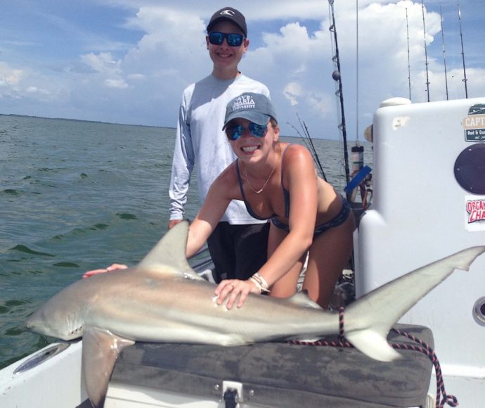 Big Blacktip Sharks Stealing The Tarpon Bait, Catch & Release, Sanibel Fishing & Captiva Fishing, Sanibel Island, Saturday, July 1, 2017.