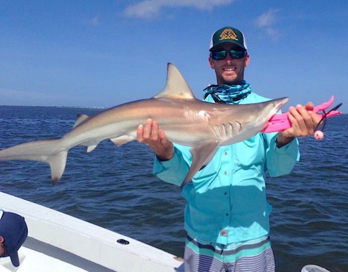 Blacktip Shark, Sanibel Fishing & Captiva Fishing, Sanibel Island, Thursday, July 13, 2017.