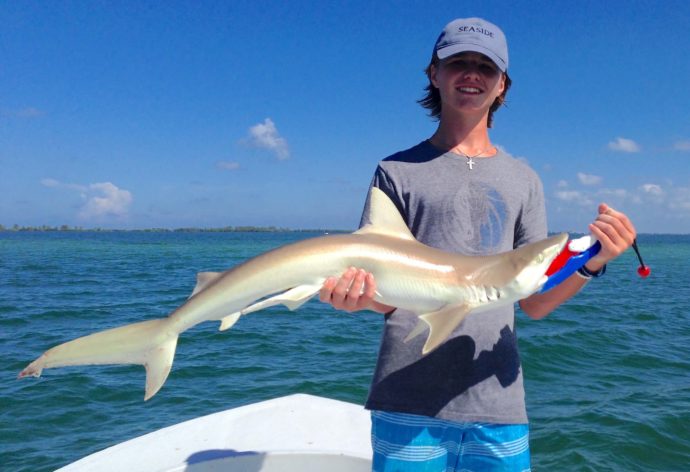 Blacknose Shark, Catch & Release, Sanibel Fishing & Captiva Fishing, Sanibel Island, Friday, July 7, 2017.