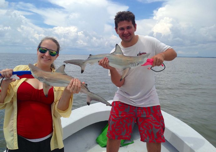 Blacktip Sharks, Catch & Release, Sanibel Fishing & Captiva Fishing, Sanibel Island, Wednesday, July 19, 2017.