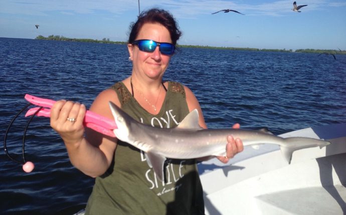 Atlantic Sharpnose Shark, Catch & Release, Sanibel Fishing & Captiva Fishing, Sanibel Island, Sunday, August 13, 2017.