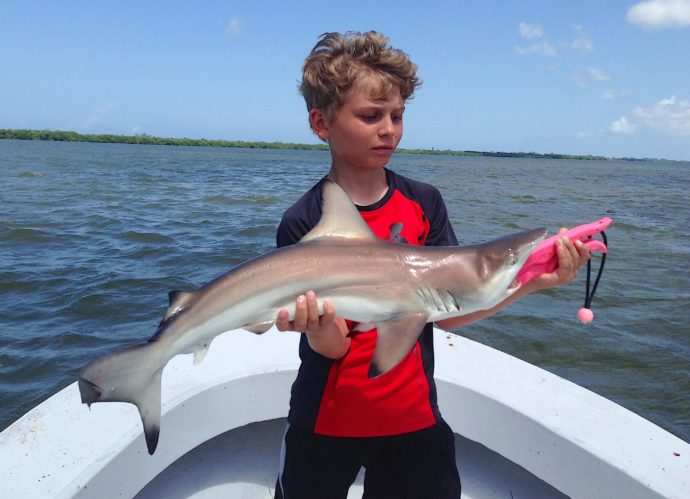 Blacktip Sharks, Catch & Release, Sanibel Fishing & Captiva Fishing, Sanibel Island, Saturday, August 5, 2017.