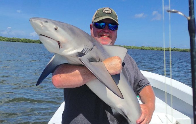 Blacktip Sharks, Stealing The Tarpon Bait, Catch & Release, Sanibel Fishing & Captiva Fishing, Sanibel Island, Monday, October 9, 2017 [File Photo: Monday, August 7, 2017].
