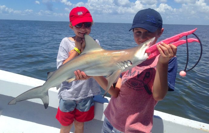 Blacktip Sharks, Stealing The Tarpon Bait, Catch & Release, Sanibel Fishing & Captiva Fishing, Sanibel Island, Sunday, October 12, 2017, [File Photo - Tuesday, August 8, 2017].