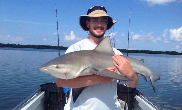 More Bull Sharks, Stealing The Tarpon Bait, Catch & Release, Sanibel Fishing & Captiva Fishing, Sanibel Island, Tuesday, August 15, 2017.
