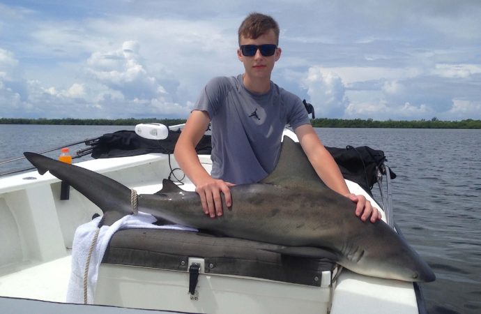 Bull Shark, Catch & Release, Sanibel Fishing & Captiva Fishing, Sanibel Island, Wednesday, August 23, 2017.