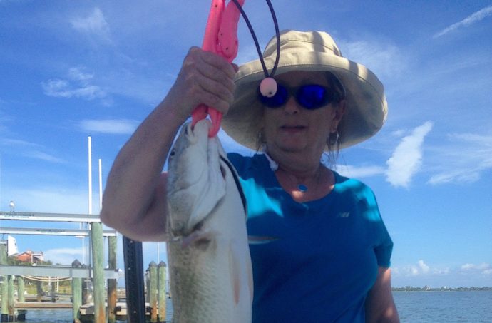 Redfish, Docks, Sanibel Fishing & Captiva Fishing, Sanibel Island, Sunday, September 3, 2017.