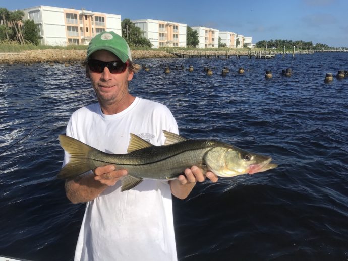 Snook, Catch & Release, Sanibel Island Fishing Charters & Captiva Island Fishing Charters, Sanibel Island, Wednesday, October 3, 2018.